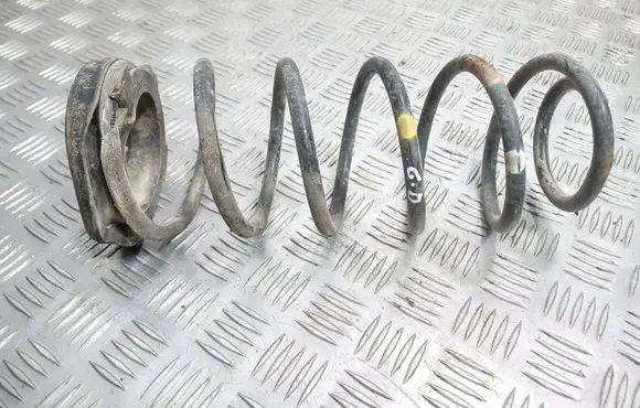 Hyundai i20 (PB PBT) Rear coil spring