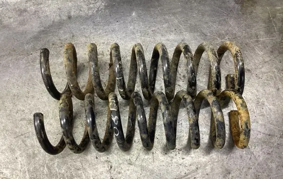 Rear coil spring