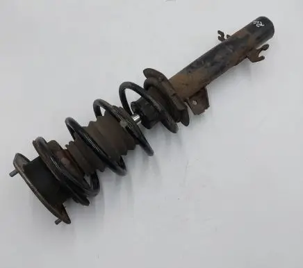 Mini Cooper Countryman R60 Front shock absorber with coil spring 9813654