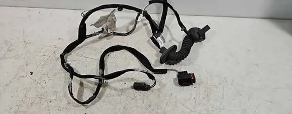 Opel Vivaro Front door wiring loom 8200003819 C4483885 820046388500