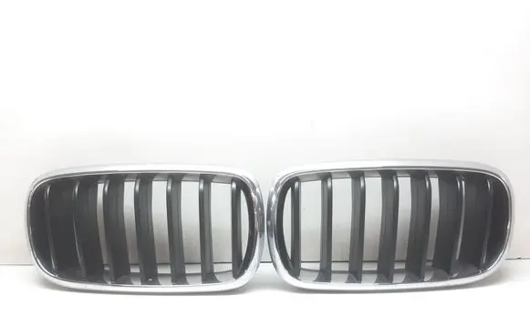 BMW X5 F15 Front bumper upper radiator grill 7316075 7316076
