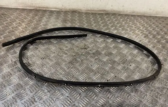 Nissan Qashqai Rubber seal front door (on door) 76843JE