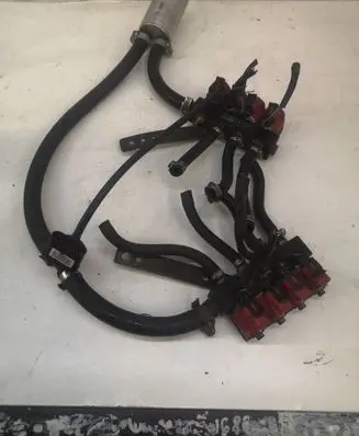 Volkswagen Phaeton LP gas injector 67R010905 110R000033