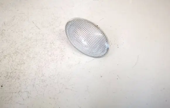 Front fender indicator light