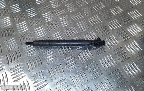 Citroen Jumpy Fuel injector 9686191080
