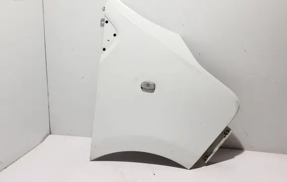 Renault Trafic III (X82) Fender 631001616R
