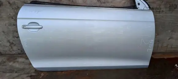 Volkswagen Eos Front door