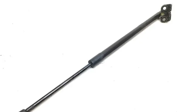 Ford Escape IV Tailgate/trunk strut/damper LJ6BS406A11AE 384889