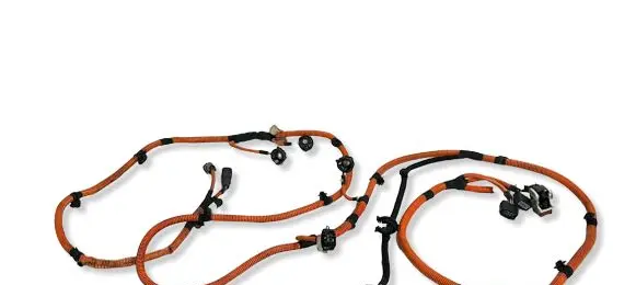 Citroen C4 III e-C4 Other wiring loom 9841284280 48808