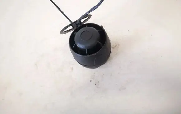 Dacia Sandero Alarm system siren 