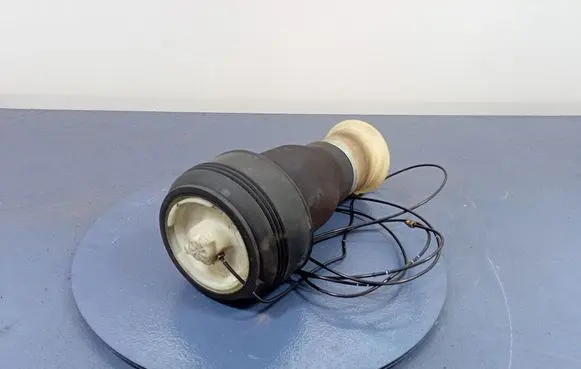 BMW X6 E71 Air suspension bag R309512606