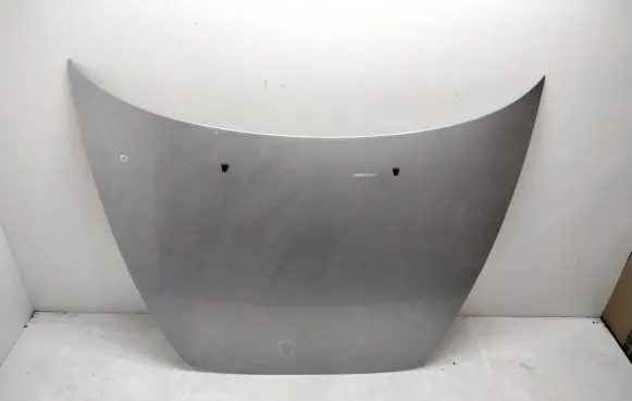 Engine bonnet/hood