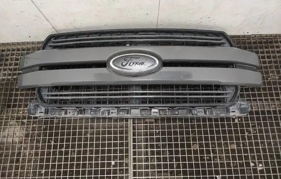 Ford F150 Front bumper upper radiator grill JL348475A