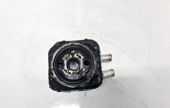 Volkswagen Golf IV Engine oil radiator 