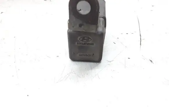 Hyundai Terracan Other relay 368604