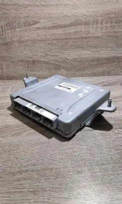 Engine control unit/module ECU