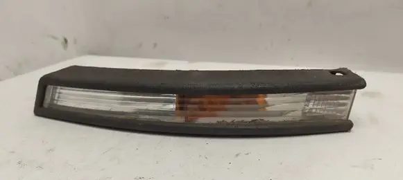 Volkswagen PASSAT B6 Front indicator light 3C0953041