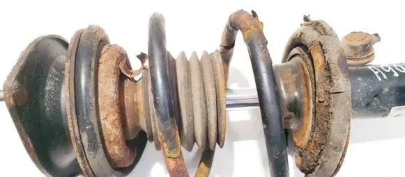 Front coil spring