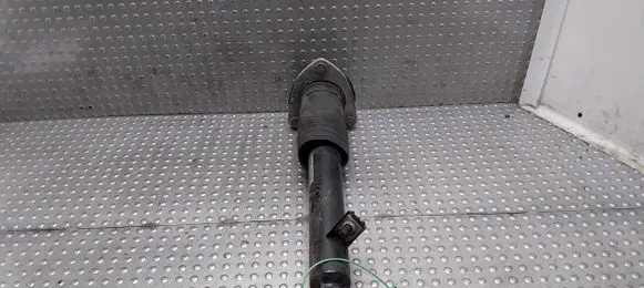 Rear shock absorber/damper