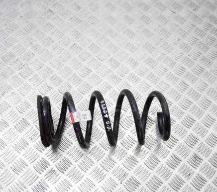 Tesla Model 3 Rear coil spring 104447291E