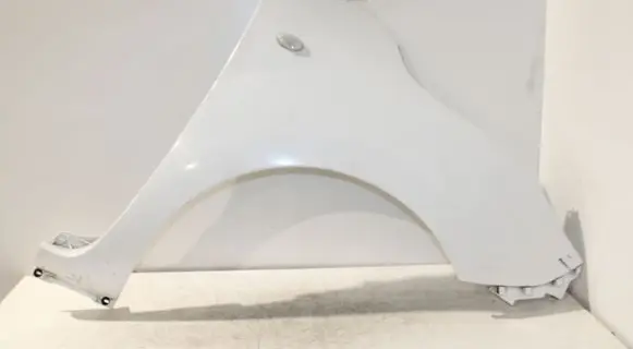 Mercedes-Benz Citan W415 Fender 