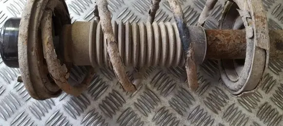 Suzuki Baleno EG Rear coil spring
