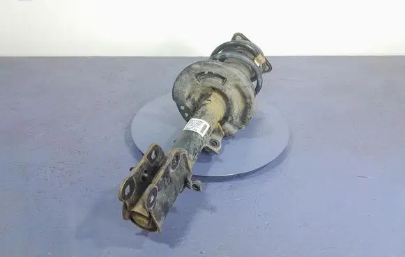 Front shock absorber/damper
