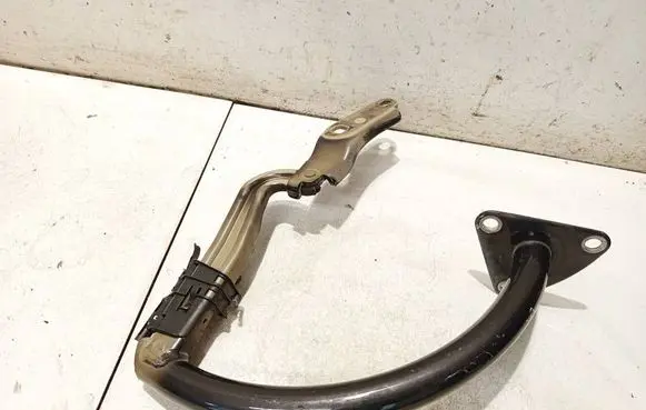 Volkswagen PASSAT B6 Tailgate/trunk/boot hinge 3c5827301b
