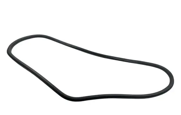 Renault Talisman Rear door rubber seal (on body) 
