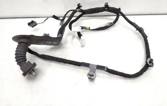 Rear door wiring loom