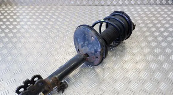 Toyota RAV 4 (XA20) Front shock absorber/damper 4851049195 4813142430
