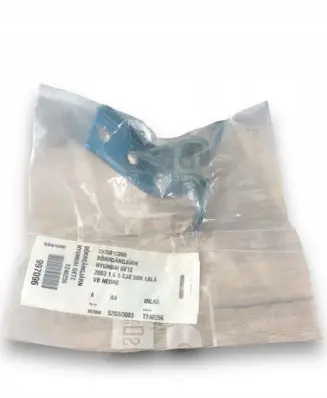 Hyundai Getz Front door upper hinge 793501C000
