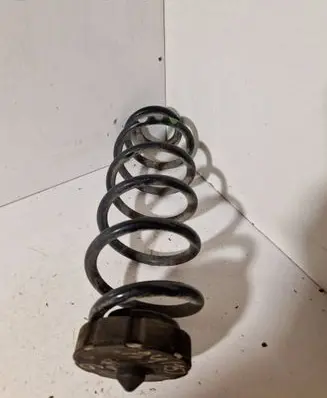 Rear coil spring