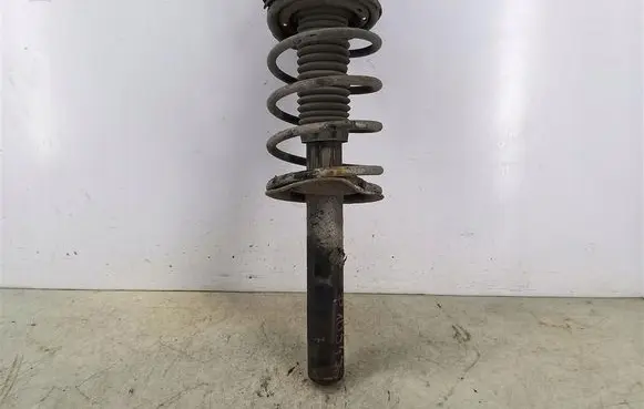 Peugeot 206 Front shock absorber with coil spring 