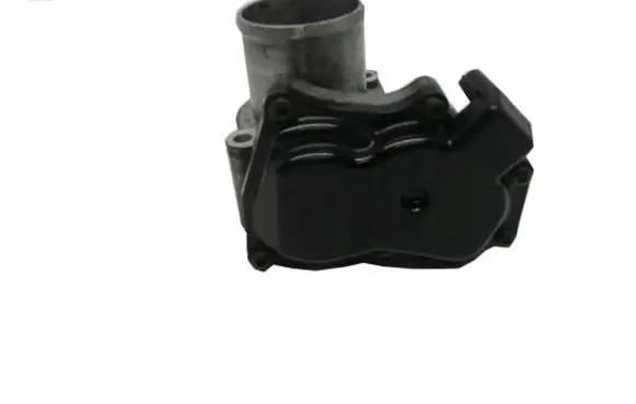 Renault Laguna III Throttle valve 820098745