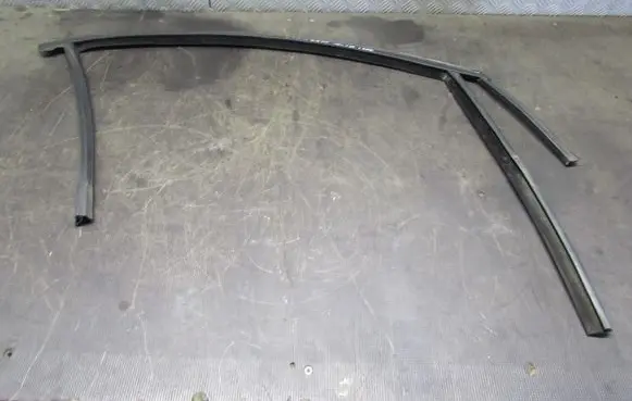 Ford Grand C-MAX Front door rubber seal AM51U21510