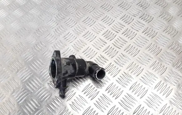 Thermostat/thermostat housing