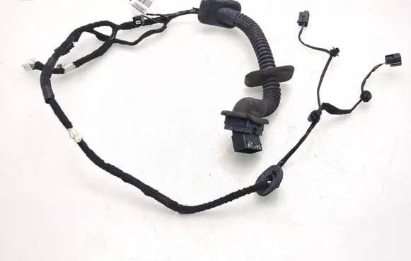 Dacia Logan III Front door wiring loom 241256142R