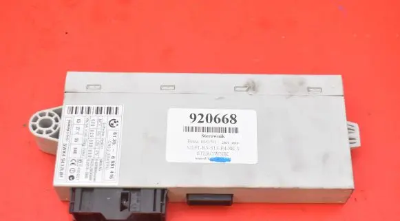 Engine control unit/module ECU