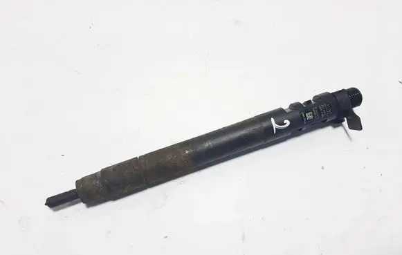 Peugeot 5008 Fuel injector 9686191080