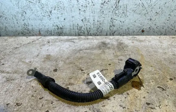 Hyundai Tucson IV NX4 Negative earth cable (battery) 91660P0100