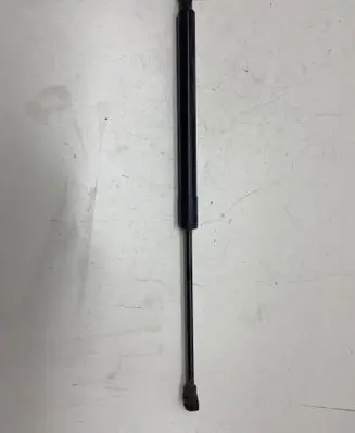 Tailgate strut