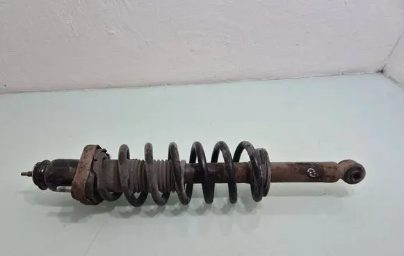 Dodge Journey Rear shock absorber with coil spring 