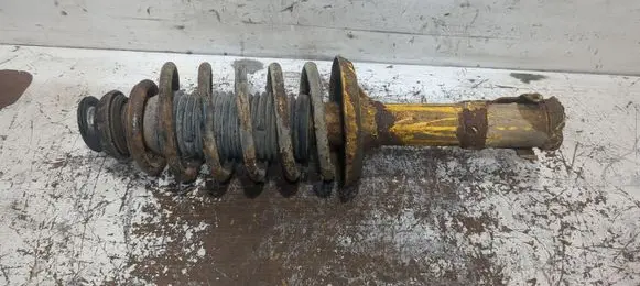 Volkswagen Lupo Front shock absorber with coil spring