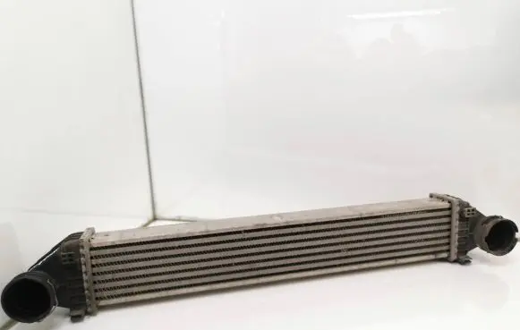 Mercedes-Benz B W245 Intercooler radiator A1695000000 G0976003