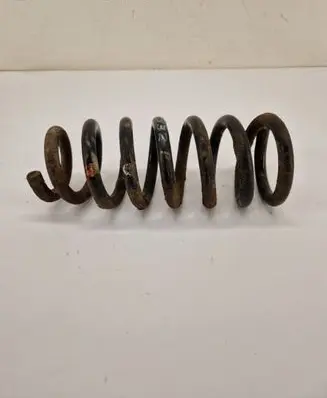 Mitsubishi Pajero Front coil spring 