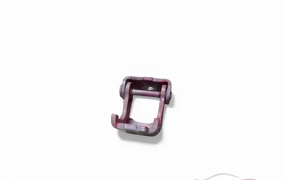 Renault Scenic III - Grand scenic III Front door lower hinge 