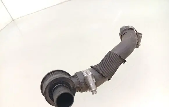 Dacia Sandero II Breather/breather pipe/hose 3028024