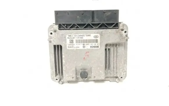 KIA Sportage Engine control unit/module 391012F570