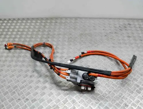 Other wiring loom